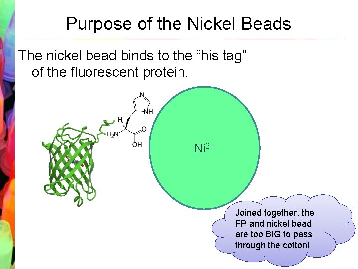 Purpose of the Nickel Beads The nickel bead binds to the “his tag” of
