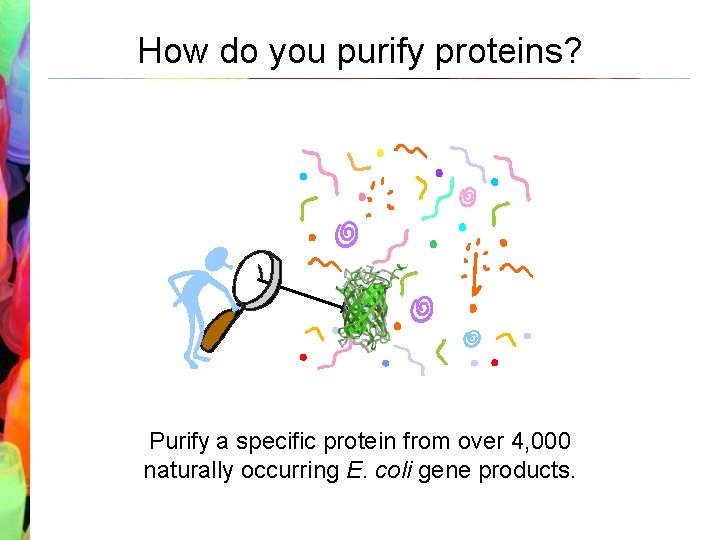How do you purify proteins? Purify a specific protein from over 4, 000 naturally