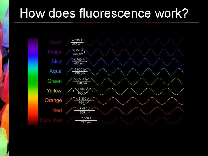 How does fluorescence work? 