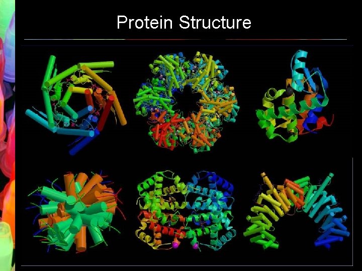Protein Structure 