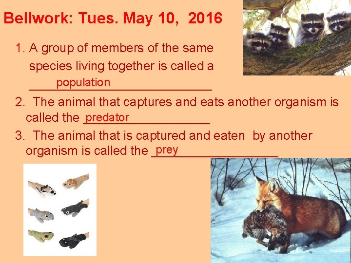 Bellwork: Tues. May 10, 2016 1. A group of members of the same species