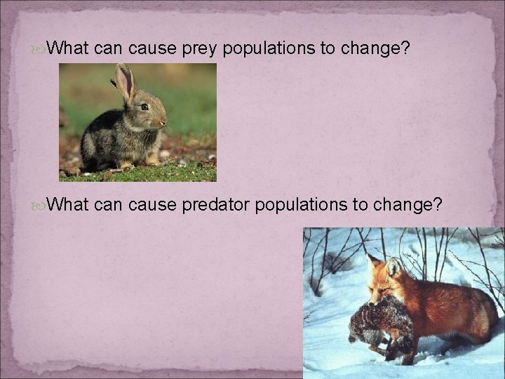  What can cause prey populations to change? What can cause predator populations to