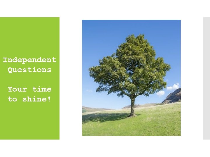 Independent Questions Your time to shine! 