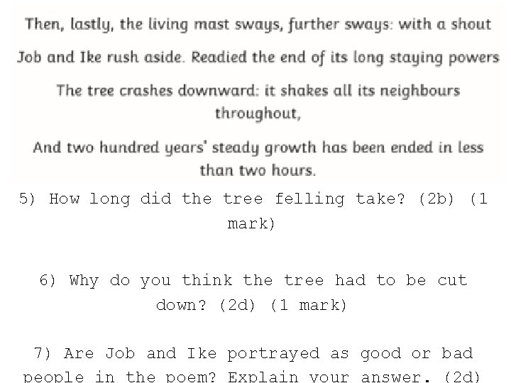 5) How long did the tree felling take? (2 b) (1 mark) 6) Why