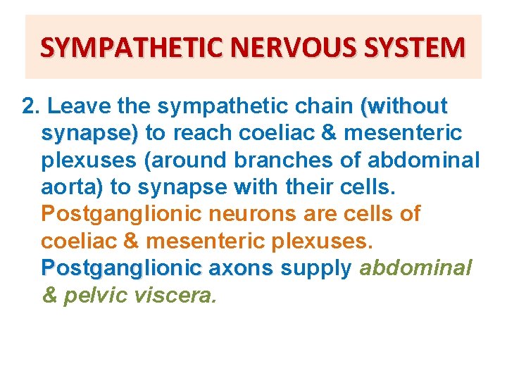 SYMPATHETIC NERVOUS SYSTEM 2. Leave the sympathetic chain (without synapse) to reach coeliac &