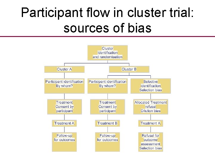 Participant flow in cluster trial: sources of bias 