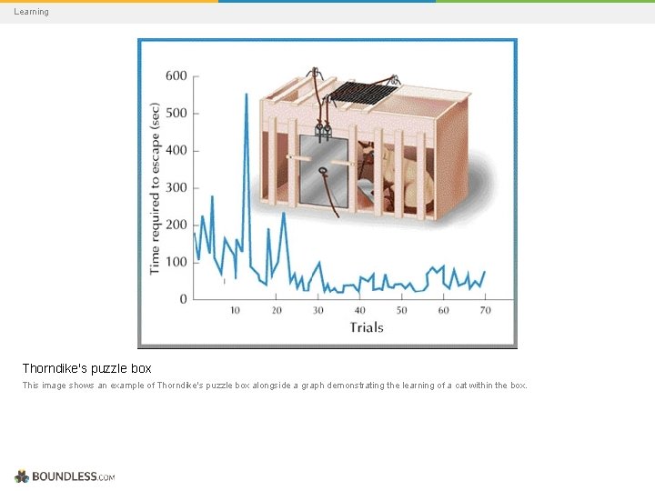 Learning Thorndike's puzzle box This image shows an example of Thorndike's puzzle box alongside