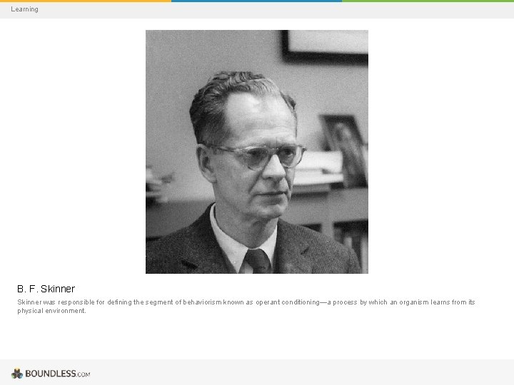 Learning B. F. Skinner was responsible for defining the segment of behaviorism known as