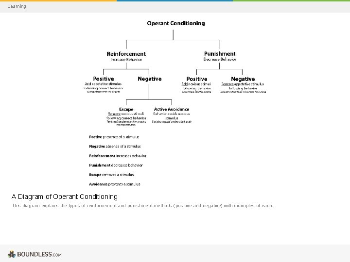 Learning A Diagram of Operant Conditioning This diagram explains the types of reinforcement and