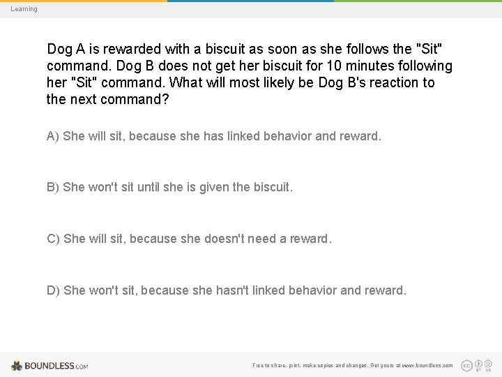 Learning Dog A is rewarded with a biscuit as soon as she follows the