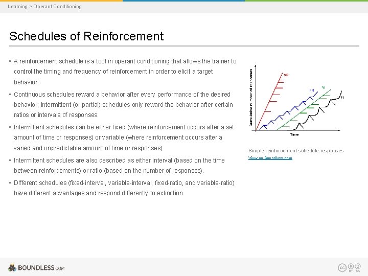 Learning > Operant Conditioning Schedules of Reinforcement • A reinforcement schedule is a tool