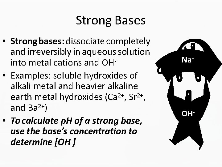 Strong Bases • Strong bases: dissociate completely and irreversibly in aqueous solution into metal