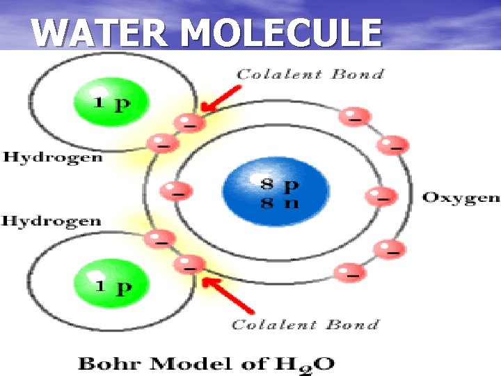 WATER MOLECULE 