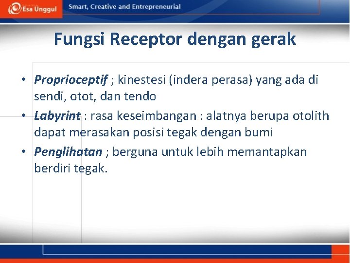 Fungsi Receptor dengan gerak • Proprioceptif ; kinestesi (indera perasa) yang ada di sendi,