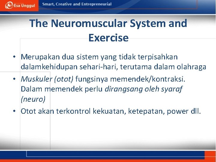The Neuromuscular System and Exercise • Merupakan dua sistem yang tidak terpisahkan dalamkehidupan sehari-hari,