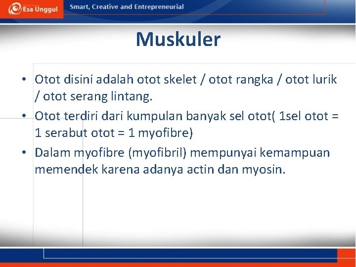 Muskuler • Otot disini adalah otot skelet / otot rangka / otot lurik /