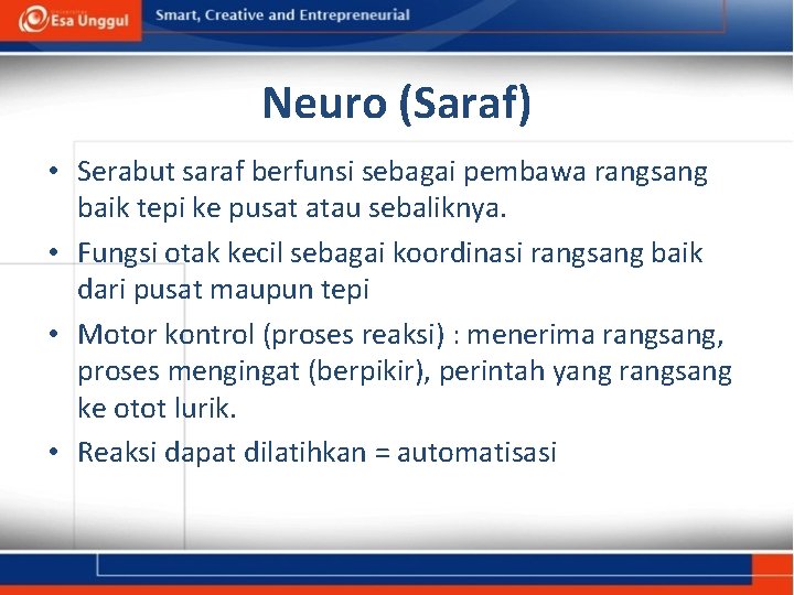 Neuro (Saraf) • Serabut saraf berfunsi sebagai pembawa rangsang baik tepi ke pusat atau