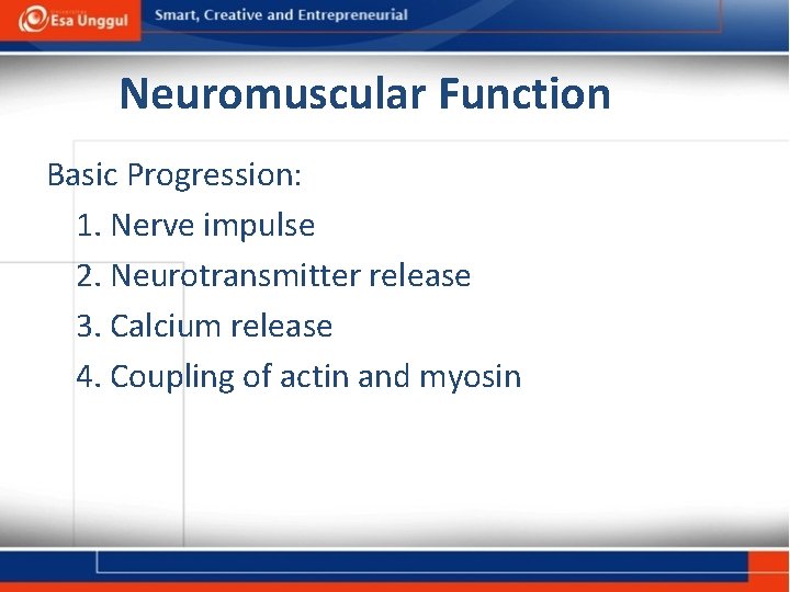 Neuromuscular Function Basic Progression: 1. Nerve impulse 2. Neurotransmitter release 3. Calcium release 4.
