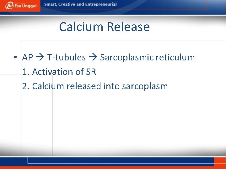Calcium Release • AP T-tubules Sarcoplasmic reticulum 1. Activation of SR 2. Calcium released