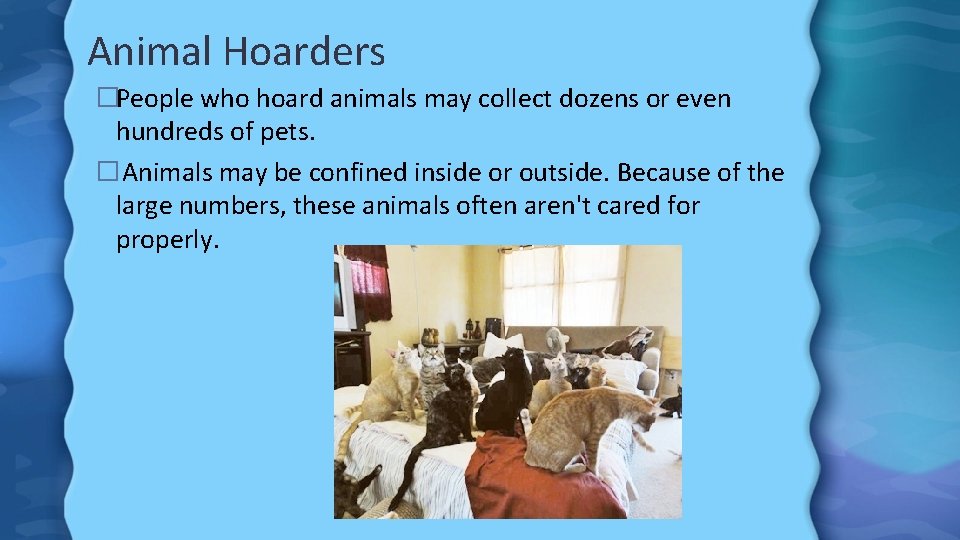 Animal Hoarders �People who hoard animals may collect dozens or even hundreds of pets.