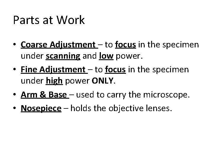 Parts at Work • Coarse Adjustment – to focus in the specimen under scanning