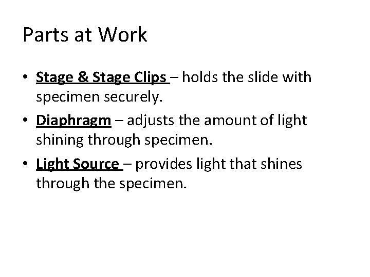 Parts at Work • Stage & Stage Clips – holds the slide with specimen