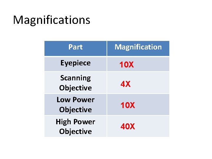 Magnifications Part Eyepiece Scanning Objective Low Power Objective High Power Objective Magnification 10 X
