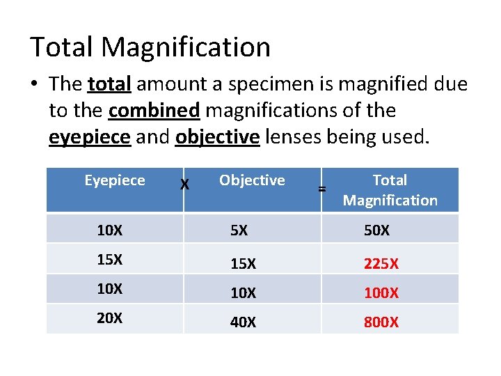 Total Magnification • The total amount a specimen is magnified due to the combined