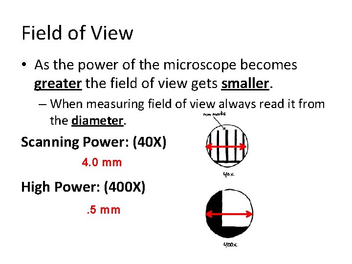 Field of View • As the power of the microscope becomes greater the field