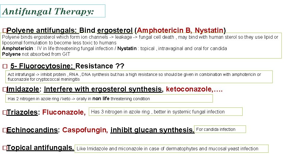 Antifungal Therapy: �Polyene antifungals: Bind ergosterol (Amphotericin B, Nystatin) Polyene binds ergosterol which form