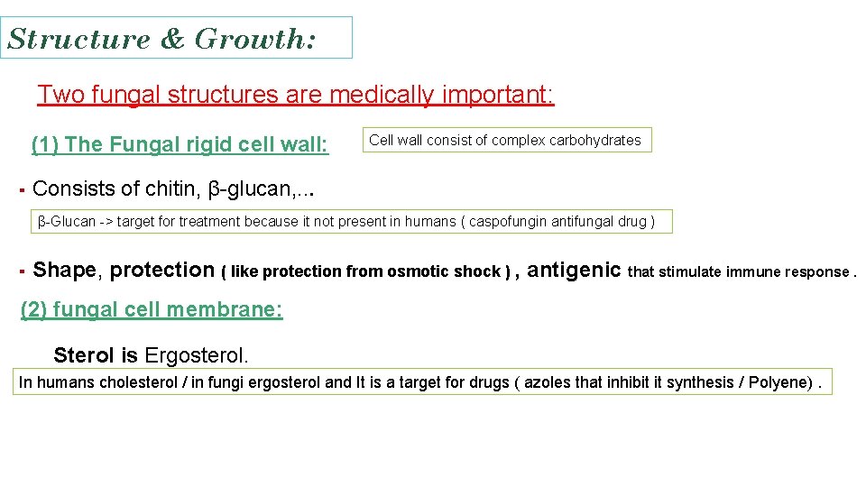Structure & Growth: Two fungal structures are medically important: (1) The Fungal rigid cell