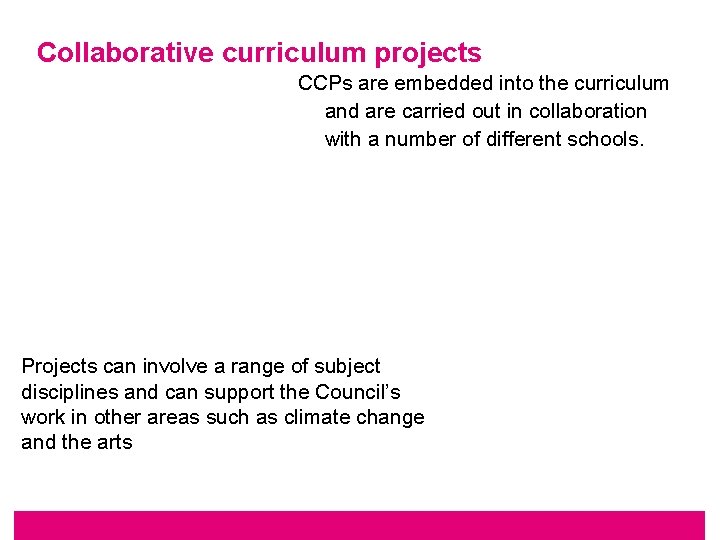 Collaborative curriculum projects CCPs are embedded into the curriculum and are carried out in