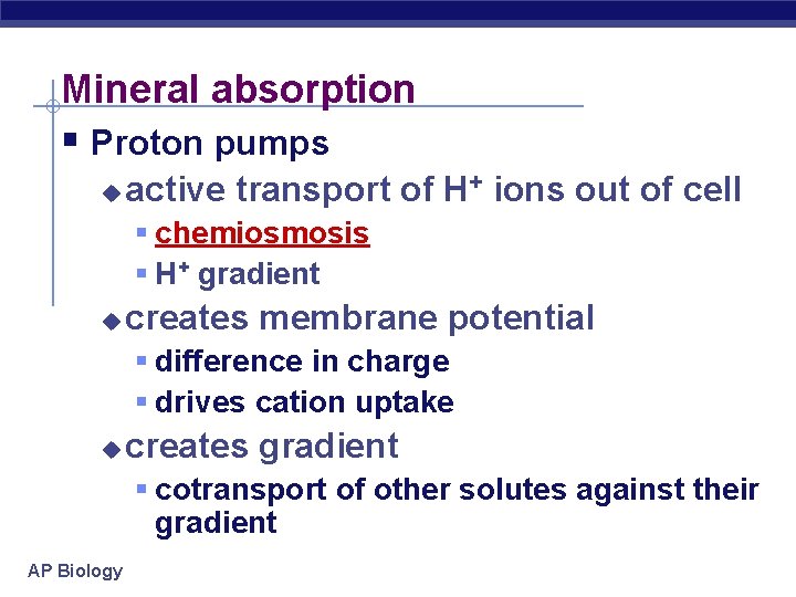 Mineral absorption § Proton pumps u active transport of H+ ions out of cell