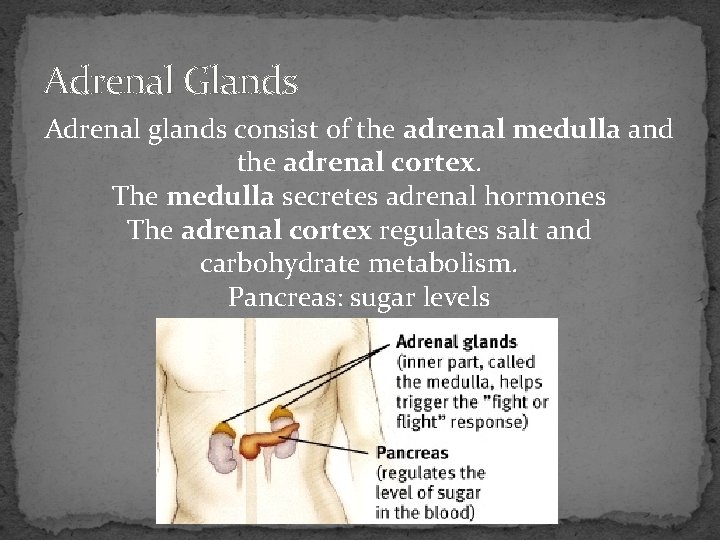 Adrenal Glands Adrenal glands consist of the adrenal medulla and the adrenal cortex. The