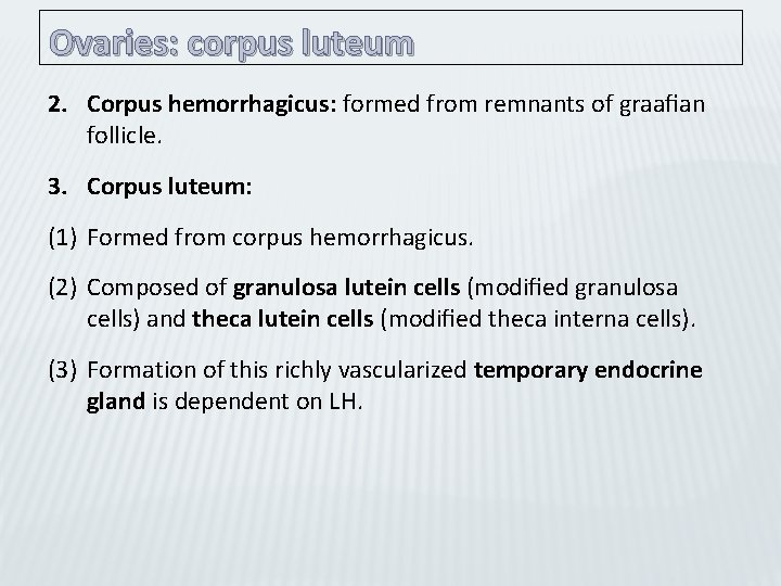 Ovaries: corpus luteum 2. Corpus hemorrhagicus: formed from remnants of graaﬁan follicle. 3. Corpus