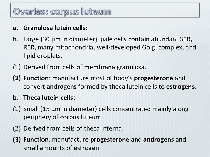 Ovaries: corpus luteum a. Granulosa lutein cells: b. Large (30 µm in diameter), pale