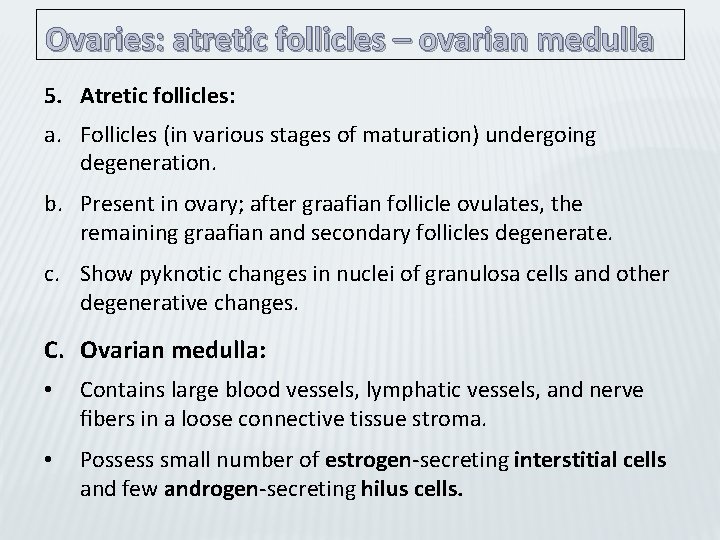 Ovaries: atretic follicles – ovarian medulla 5. Atretic follicles: a. Follicles (in various stages