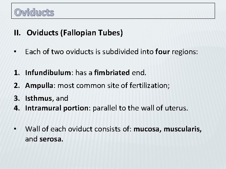 Oviducts II. Oviducts (Fallopian Tubes) • Each of two oviducts is subdivided into four