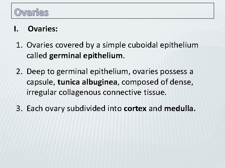 Ovaries I. Ovaries: 1. Ovaries covered by a simple cuboidal epithelium called germinal epithelium.