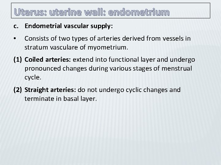 Uterus: uterine wall: endometrium c. Endometrial vascular supply: • Consists of two types of
