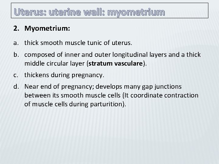 Uterus: uterine wall: myometrium 2. Myometrium: a. thick smooth muscle tunic of uterus. b.