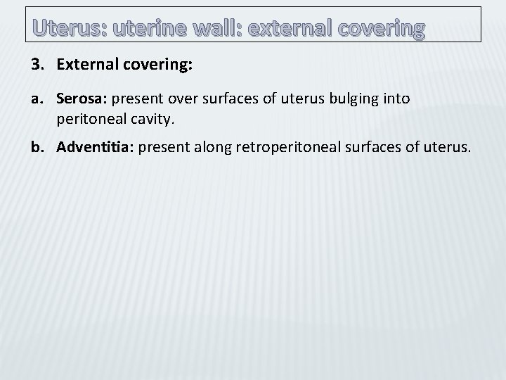 Uterus: uterine wall: external covering 3. External covering: a. Serosa: present over surfaces of