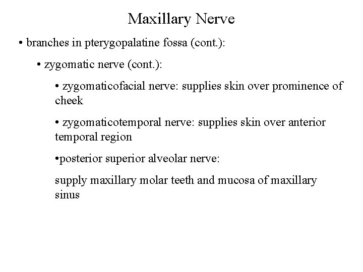 Maxillary Nerve • branches in pterygopalatine fossa (cont. ): • zygomatic nerve (cont. ):