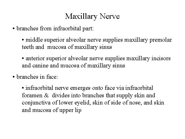 Maxillary Nerve • branches from infraorbital part: • middle superior alveolar nerve supplies maxillary