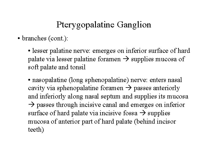 Pterygopalatine Ganglion • branches (cont. ): • lesser palatine nerve: emerges on inferior surface