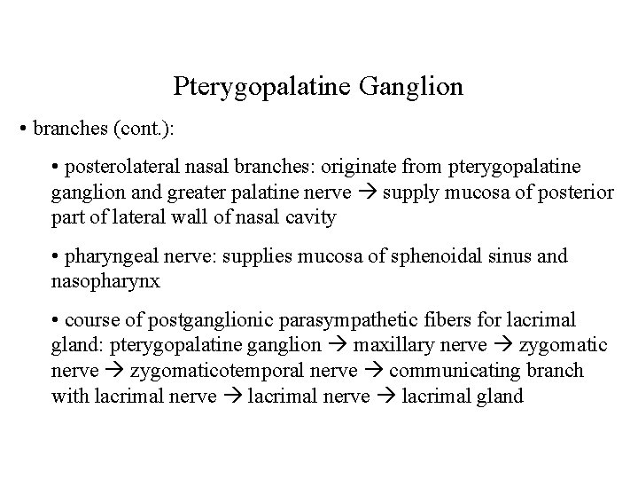 Pterygopalatine Ganglion • branches (cont. ): • posterolateral nasal branches: originate from pterygopalatine ganglion