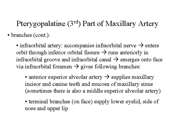 Pterygopalatine (3 rd) Part of Maxillary Artery • branches (cont. ): • infraorbital artery: