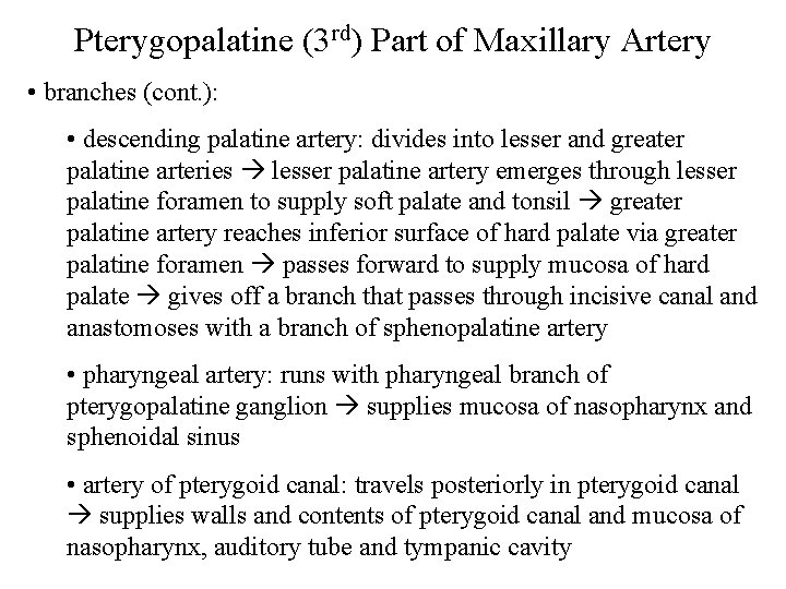 Pterygopalatine (3 rd) Part of Maxillary Artery • branches (cont. ): • descending palatine