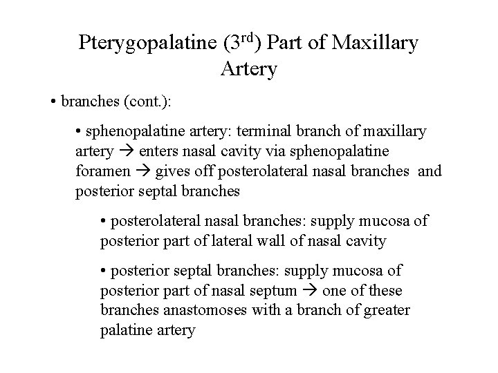 Pterygopalatine (3 rd) Part of Maxillary Artery • branches (cont. ): • sphenopalatine artery: