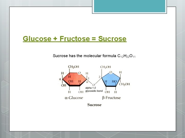 Glucose + Fructose = Sucrose 